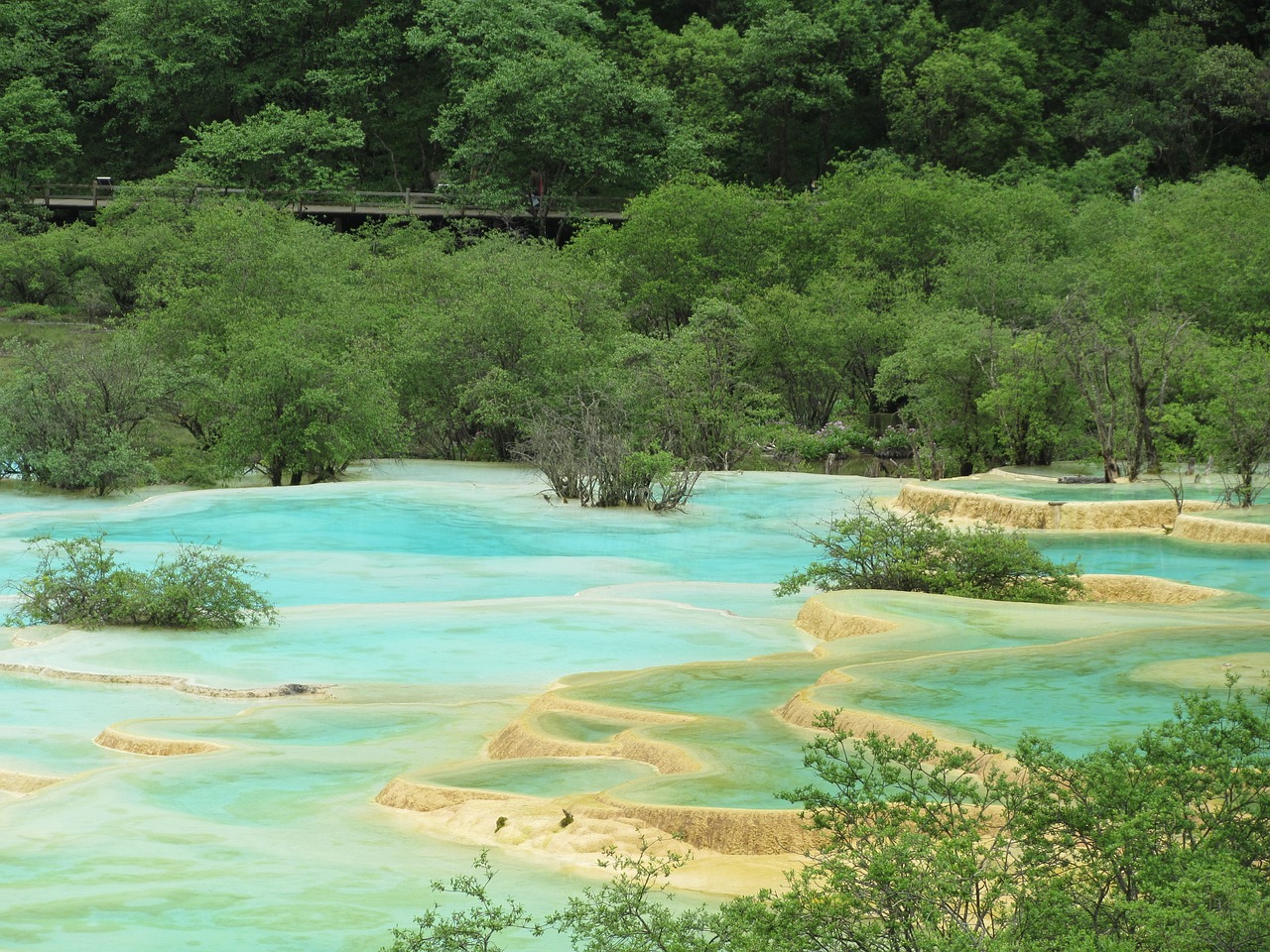 探访九寨沟黄龙机场，绿色出行，梦幻之旅的新起点