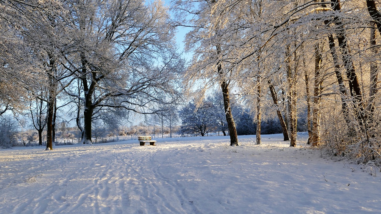 雪域沈阳，冬日奇遇——探秘棋盘山滑雪场的冰雪魅力