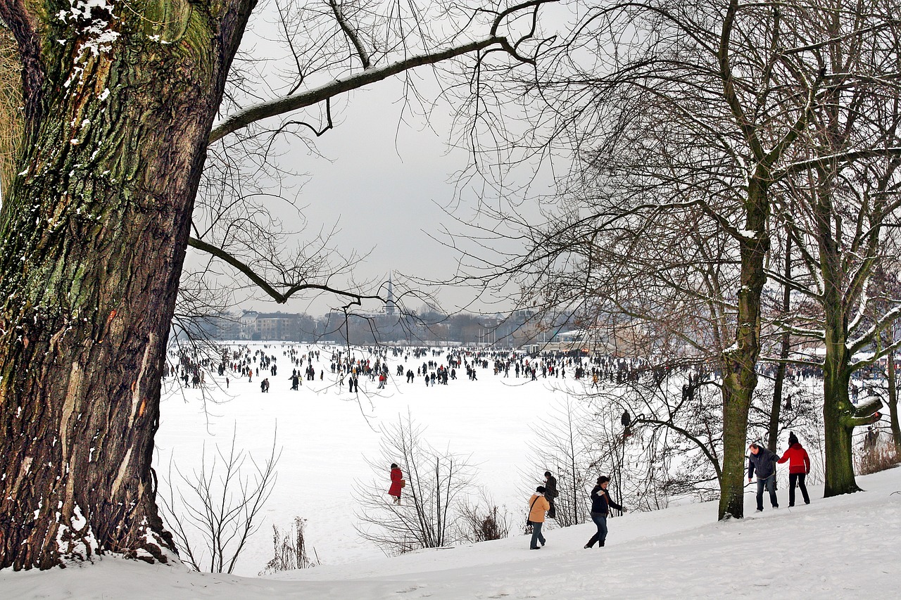 探秘东北雪城，哈尔滨双城市——冬日里的冰雪奇缘