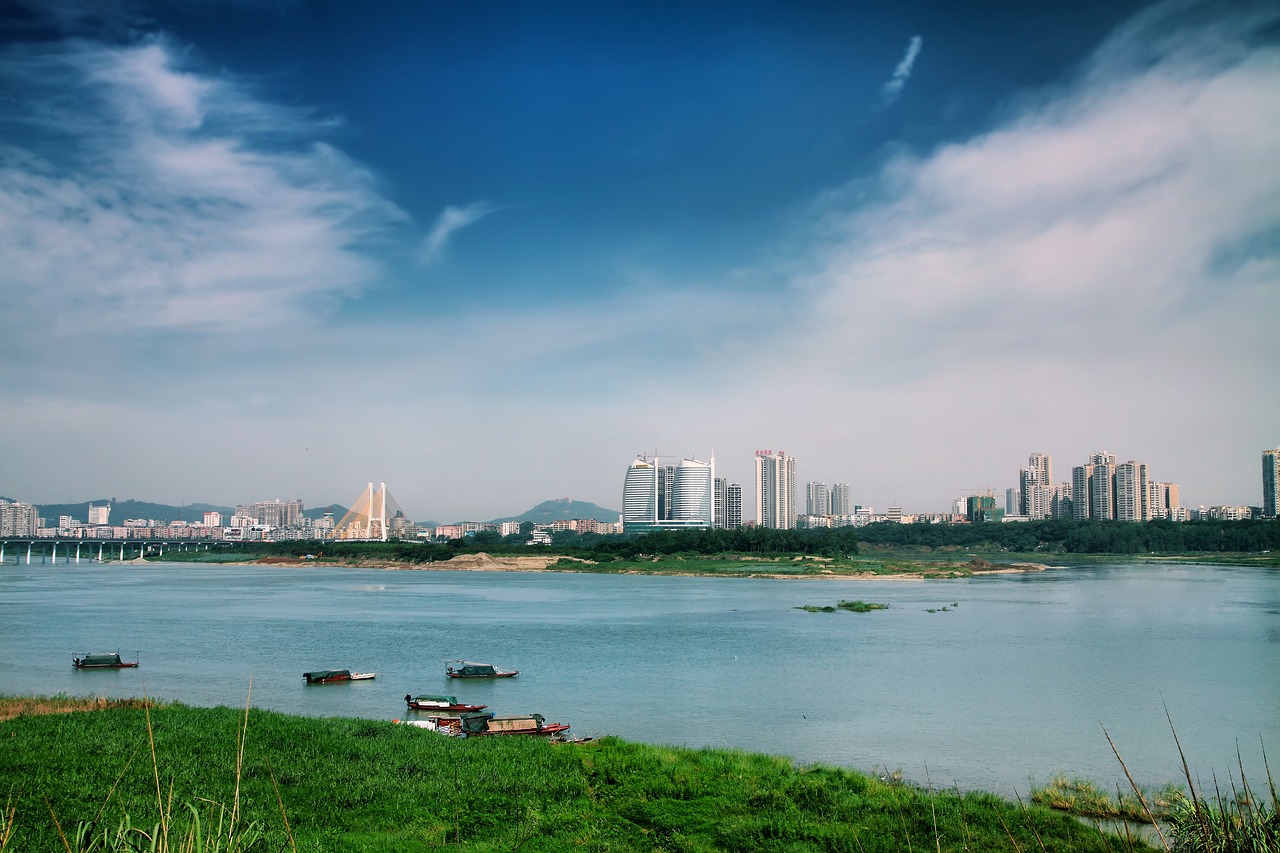 探秘黄河之魂，沉醉在黄河口生态旅游区的生态画卷中